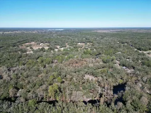 View/Area - 39716 Tworut Rd, Webster, FL 33597 photo 7 of 7