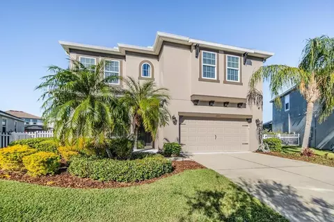 33153 Shadow Branch Ln, Wesley Chapel, FL 33545