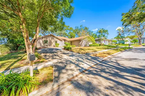 695 Sandy Hook Rd, Palm Harbor, FL 34683