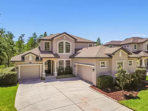 8831 Garden Party Dr, Land O Lakes, FL 34637