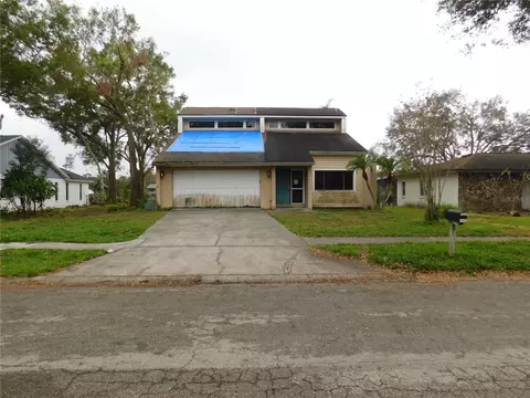 3346 Foxridge Cir, Tampa, FL 33618