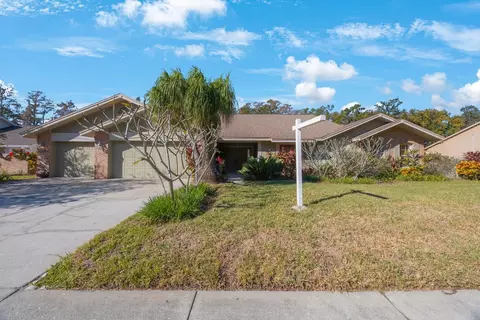 16124 Vanderbilt Dr, Odessa, FL 33556