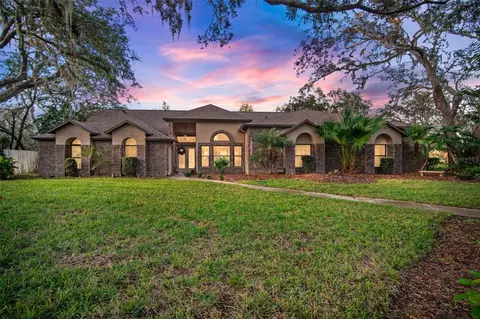 11201 Kerry Hills Ct, Riverview, FL 33569