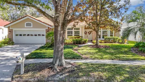 17853 Green Willow Dr, Tampa, FL 33647