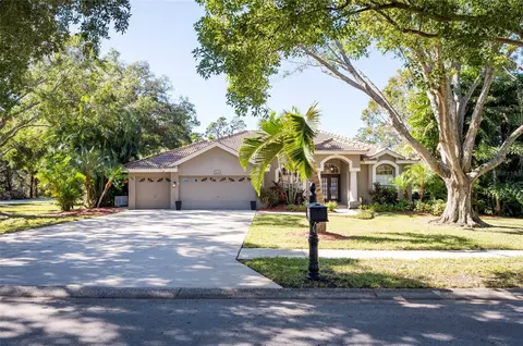 3194 Meadow View Ln, Palm Harbor, FL 34683