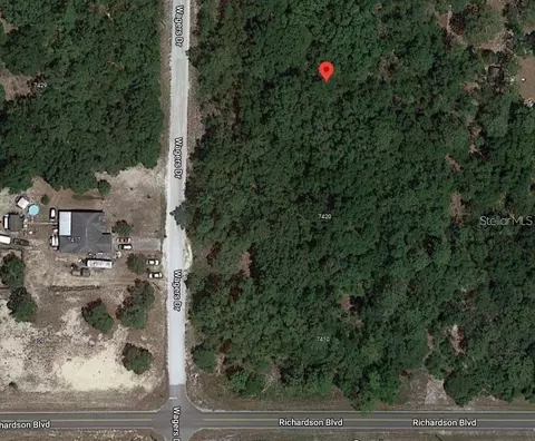 7430 Wagers Dr, Webster, FL 33597