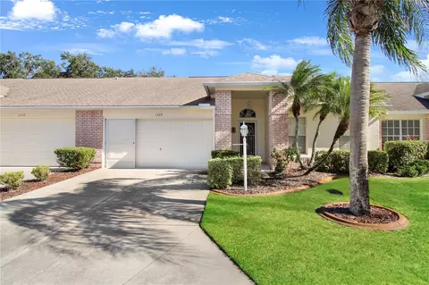 1228 Flora Vista St, Trinity, FL 34655