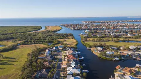 View/Area - 937 Bunker View Dr, Apollo Beach, FL 33572 photo 10 of 14