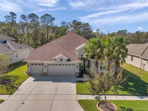 27200 Hawks Nest Cir, Wesley Chapel, FL 33544