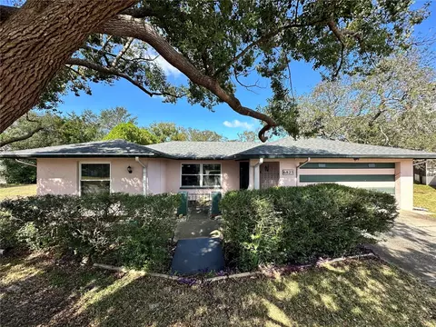 6823 Bottle Brush Dr, Port Richey, FL 34668