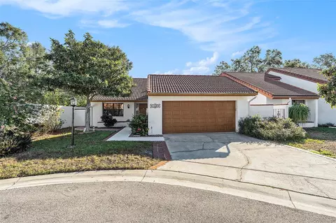 11507 Orilla Del Rio Pl, Temple Terrace, FL 33617