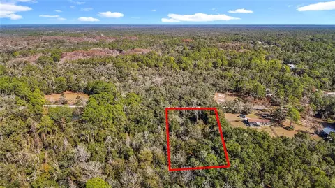 7241 Sonia Ave, Webster, FL 33597 photo 3