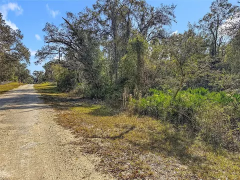 7241 Sonia Ave, Webster, FL 33597 photo 14