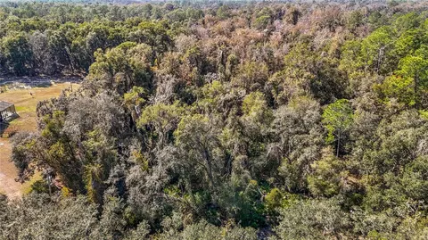 7241 Sonia Ave, Webster, FL 33597 photo 9