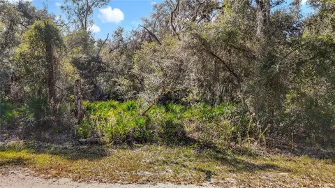 7241 Sonia Ave, Webster, FL 33597 photo 11