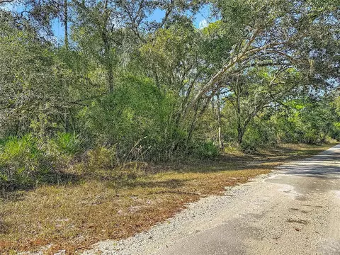 7241 Sonia Ave, Webster, FL 33597 photo 13