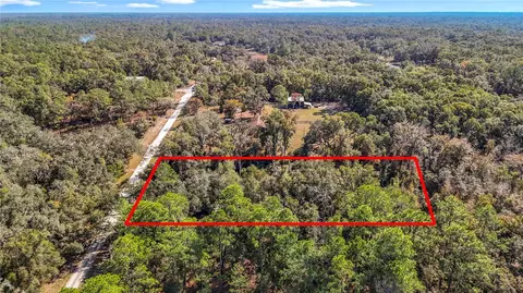 7241 Sonia Ave, Webster, FL 33597 photo 2