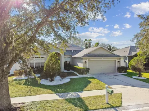 19156 Meadow Pine Dr, Tampa, FL 33647
