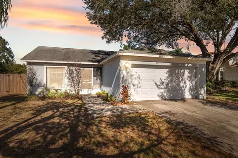 11117 Bloomington Dr, Tampa, FL 33635