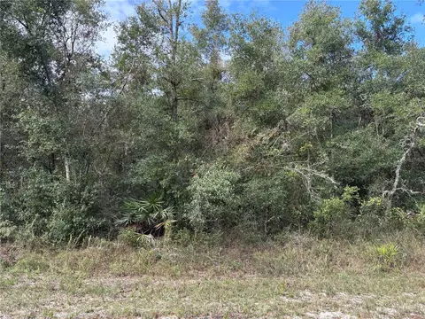 Wagers Drive, Webster, FL 33597
