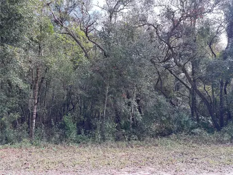 Alloy Street, Webster, FL 33597