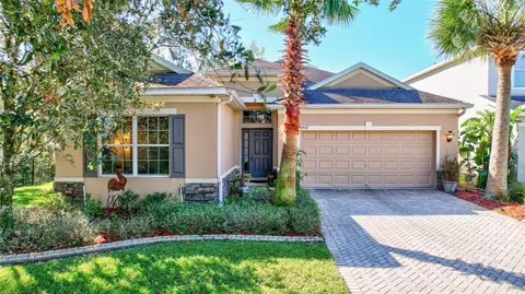 11519 Coventry Grove Cir, Lithia, FL 33547