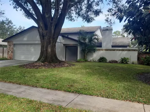11708 Rolling Oaks Ln, Tampa, FL 33618