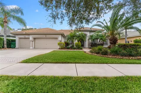 9901 Tree Tops Lake Rd, Tampa, FL 33626