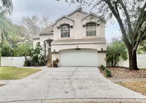 3619 Springville Dr, Valrico, FL 33596