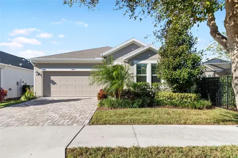 6033 Plover Meadow St, Lithia, FL 33547