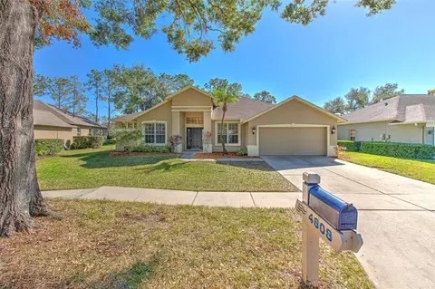 4808 Willow Ridge Ter, Valrico, FL 33596