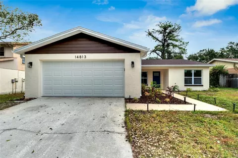 14813 Oak Vine Dr, Lutz, FL 33559