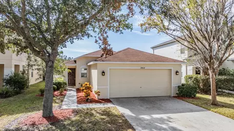 19804 Timberbluff Dr, Land O Lakes, FL 34638