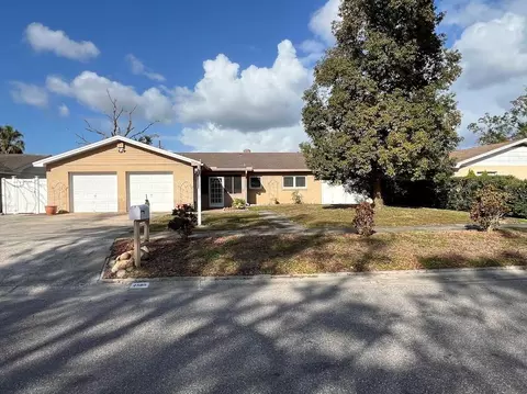 2509 Hollis Dr, Tampa, FL 33618
