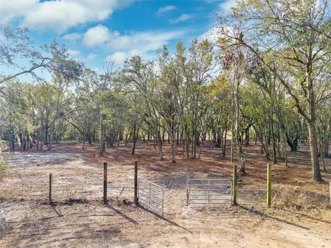 Justin Lane, Plant City, FL 33565