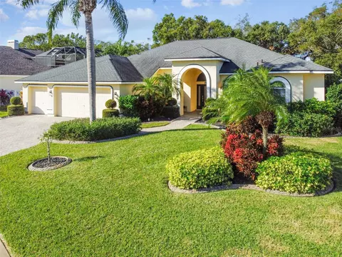 2925 Winding Trail Dr, Valrico, FL 33596