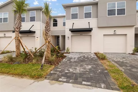 31471 Woodland Race Loop, Wesley Chapel, FL 33545