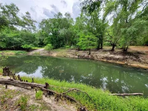 Ringwalt Drive, Dade City, FL 33523