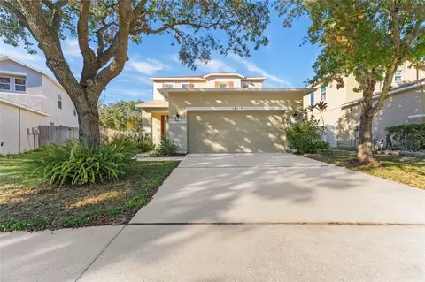 19538 Timberbluff Dr, Land O Lakes, FL 34638