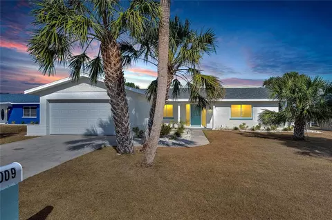 1009 Spindle Palm Way, Apollo Beach, FL 33572
