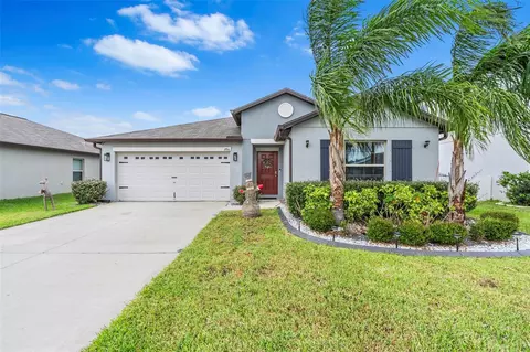 11914 Wild Daffodil Ct, Riverview, FL 33579 photo 1