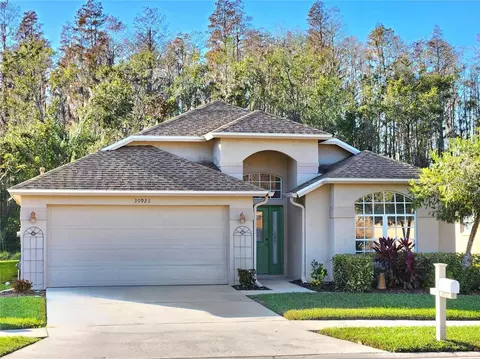30923 Burleigh Dr, Wesley Chapel, FL 33543