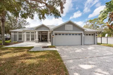 4017 Eagleflight Ln, Land O Lakes, FL 34639