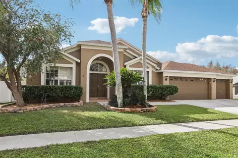 17926 Sparrows Nest Dr, Lutz, FL 33558