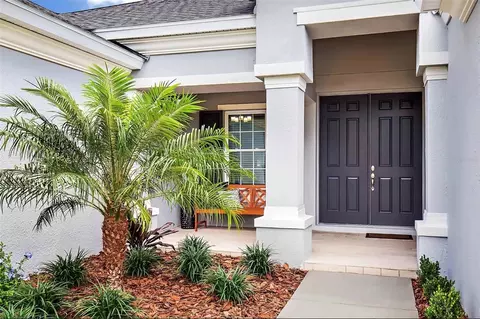 15304 Serengeti Blvd, Spring Hill, FL 34610
