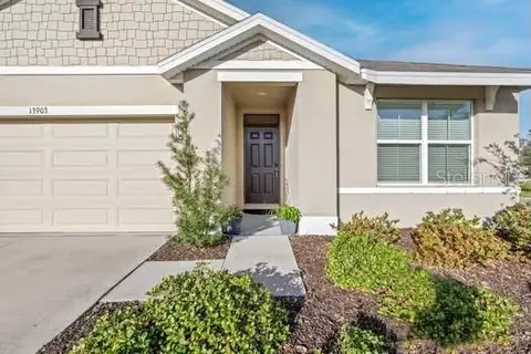 13903 Smiling Daisy Pl, Riverview, FL 33579 photo 1