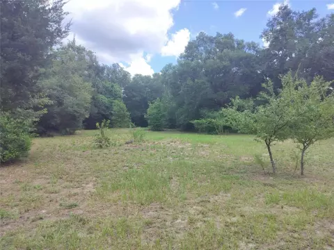 5595 E Arthur St, Inverness, FL 34452