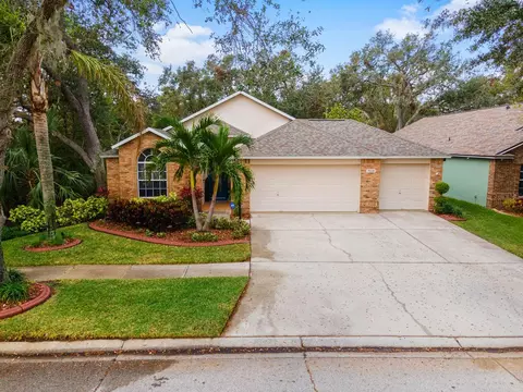 7113 Bucks Ford Dr, Riverview, FL 33578