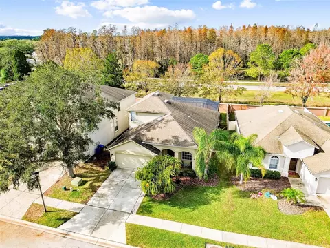 3327 Downan Point Dr, Land O Lakes, FL 34638