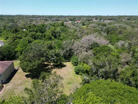 Elm Street, Safety Harbor, FL 34695